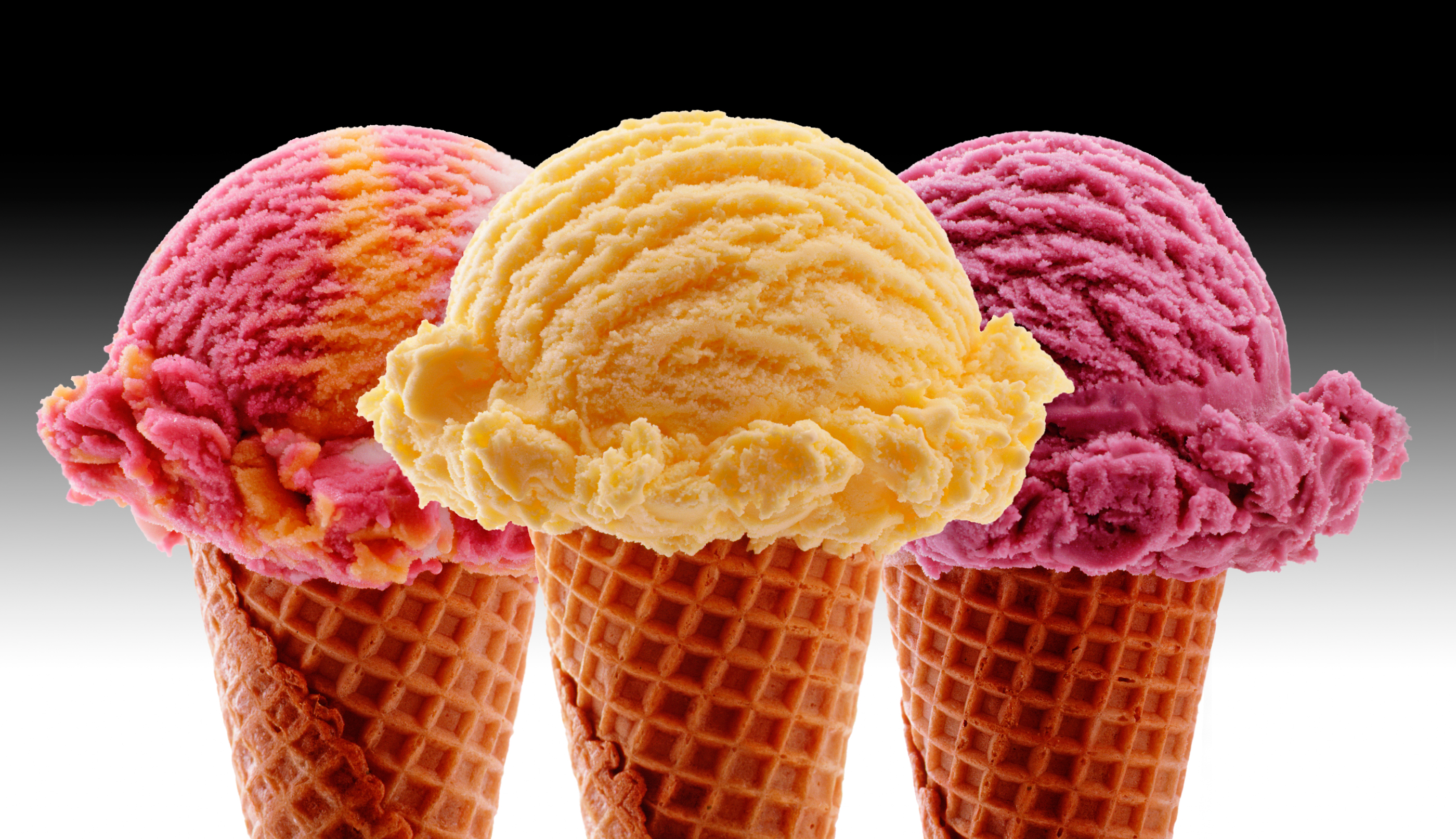 Ice cream cones |Dovis Bird Agency Reps