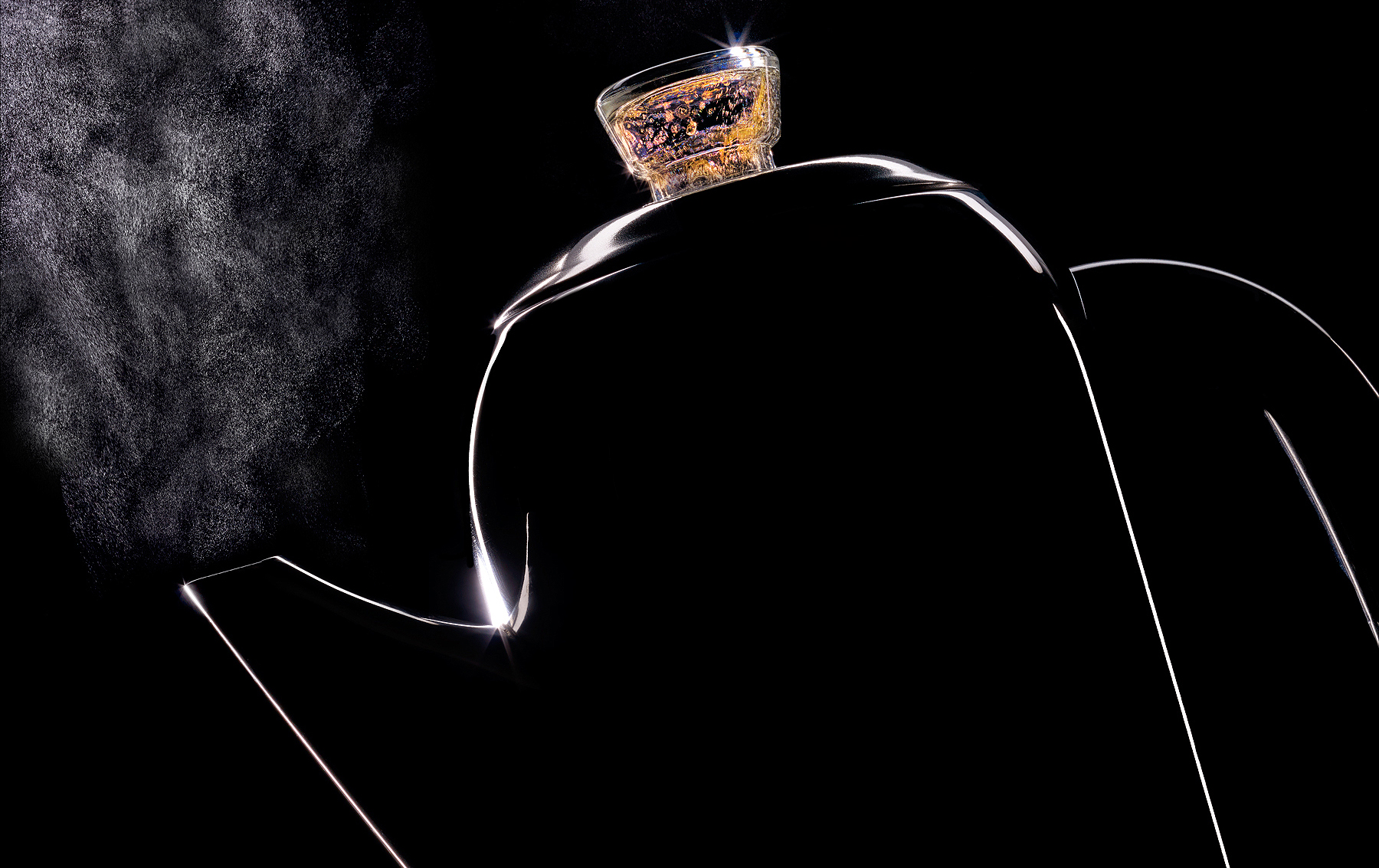 Tea kettle boiling | Dovis Bird Agency Photography