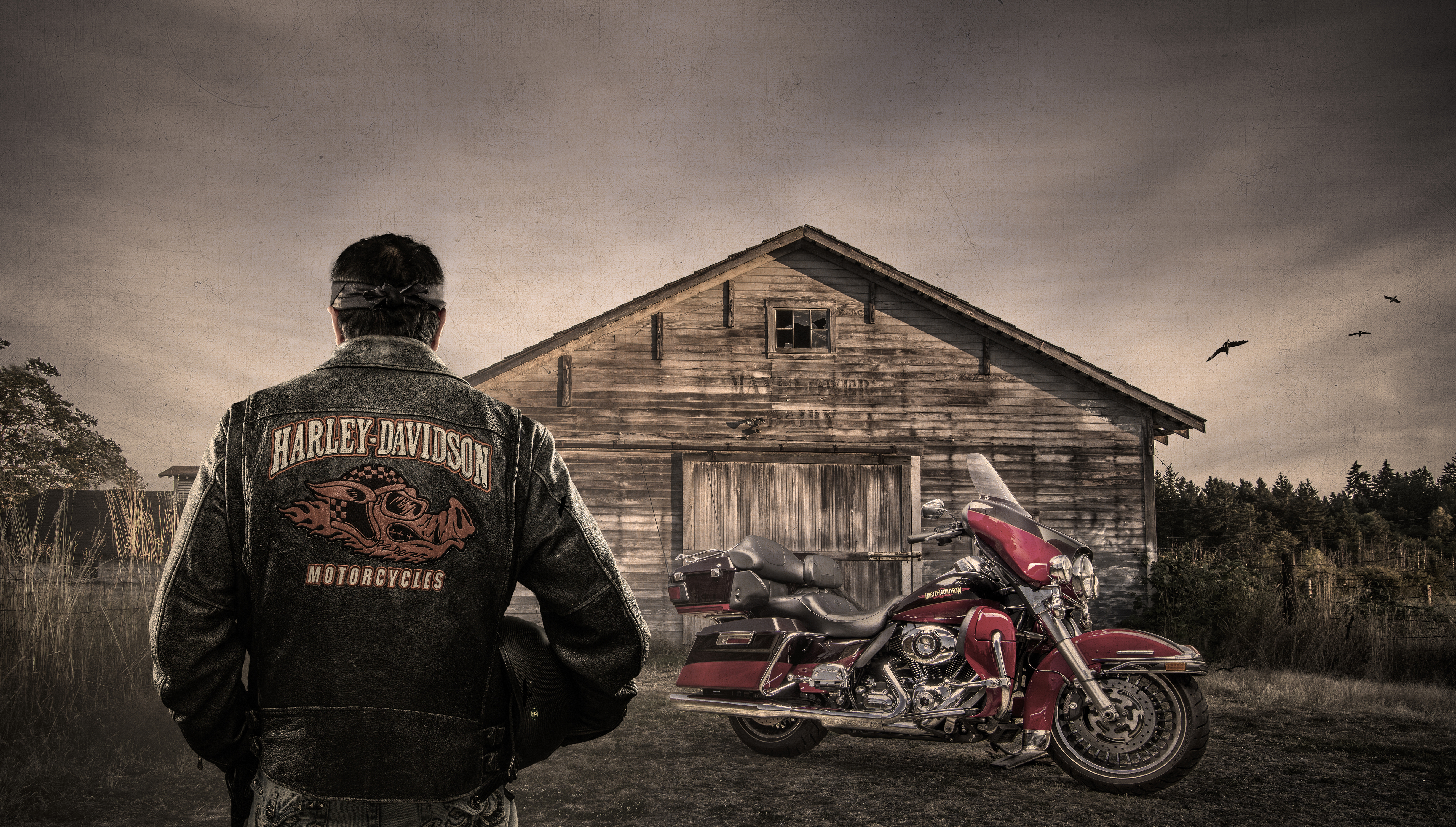 Harley Davidson Biker Portrait | Dovis Bird Agency Photography
